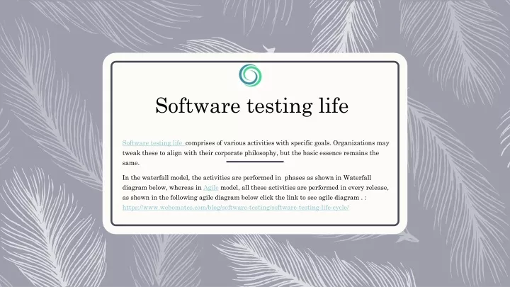 software testing life