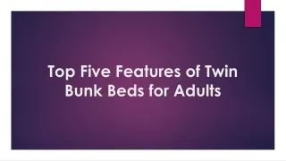 Top Five Features of Twin Bunk Beds for Adults