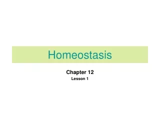 homeostasis
