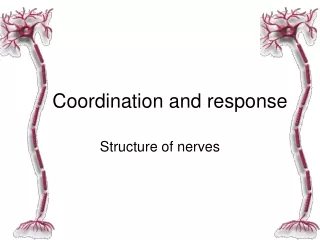 coordination and response