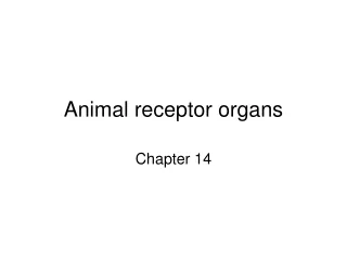 animal receptor organs