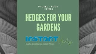 protect your homes