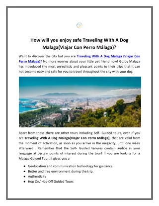 Traveling With A Dog Malaga (Viajar Con Perro Málaga)