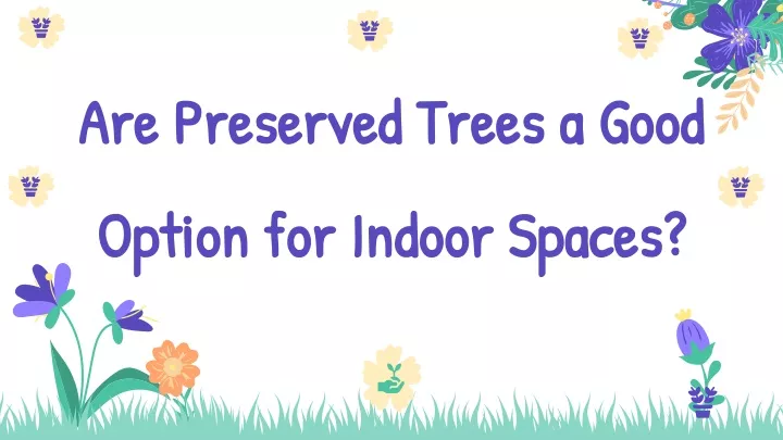 are preserved trees a good option for indoor