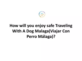 Traveling With A Dog Malaga (Viajar Con Perro Málaga)