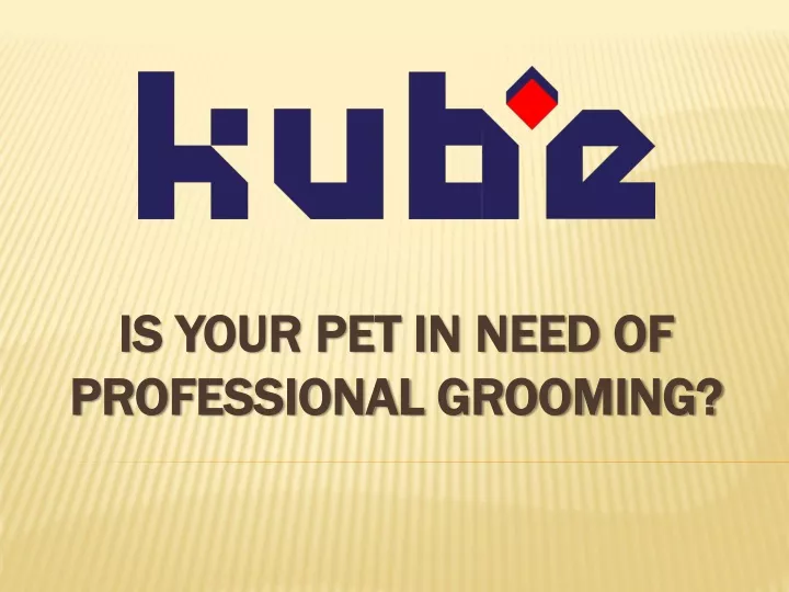 is your pet in need of professional grooming