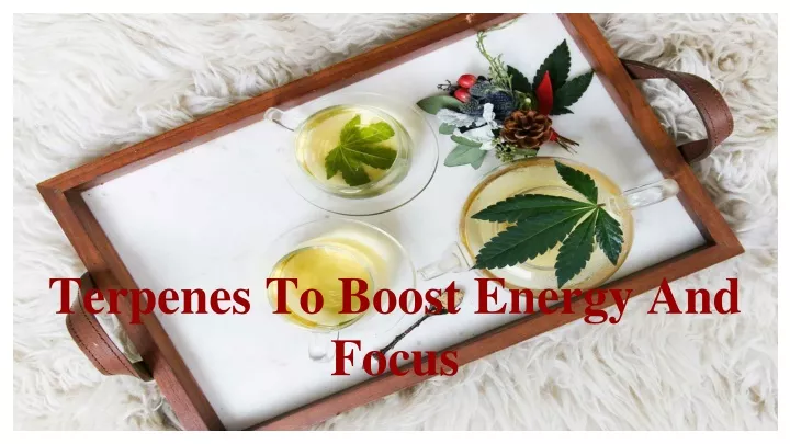 terpenes to boost energy and focus