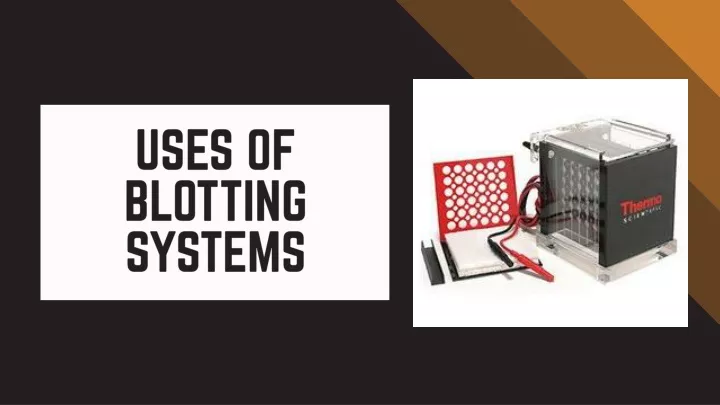 uses of blotting systems