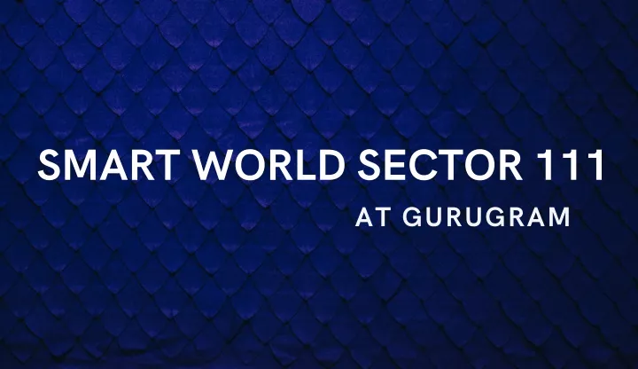 smart world sector 111