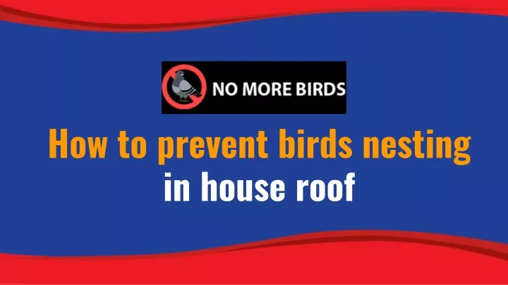 how to prevent birds nesting in house roof