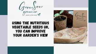 Improve Your Garden's View With Nutritious Vegetable Seeds UK