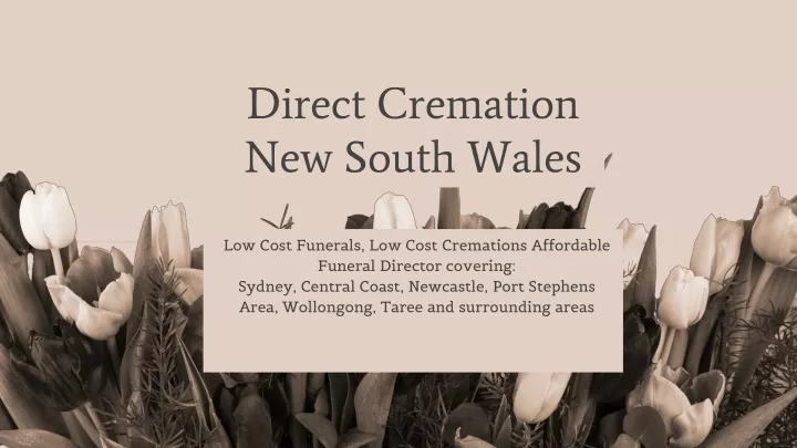 direct cremation new south wales