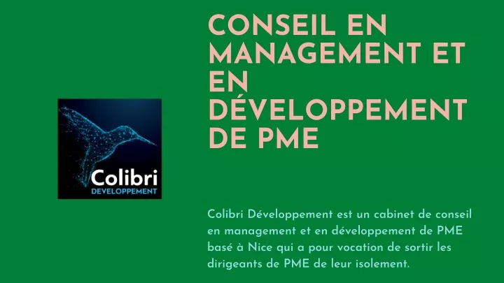 conseil en management et en d veloppement de pme