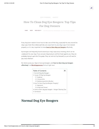 How To Clean Dog Eye Boogers_ Top Tips For Dog Owners