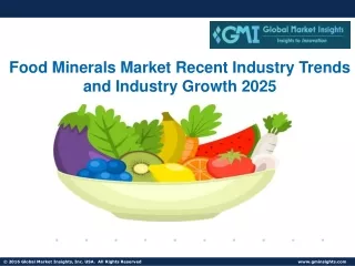 Food Minerals Market Recent Industry Trends and Industry Growth 2025