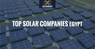 Why Is The Top Solar Companies Egypt Crucial for Our Energy Needs - Visit Sustainergy