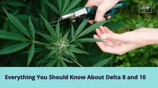 You Should Know About Delta 8 and 10
