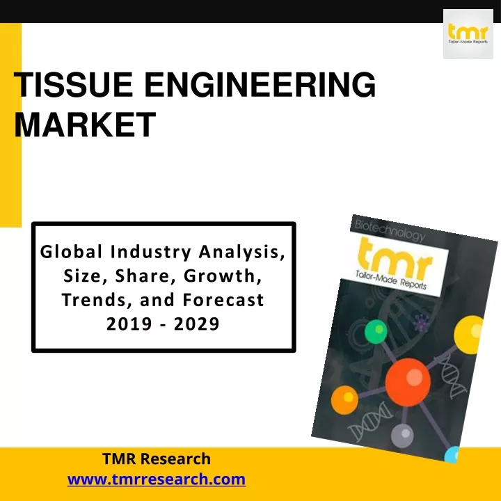 tissue engineering market