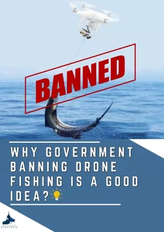 Why Government Banning Drone Fishing is a Good Idea