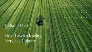 Best Lawn Mowing Services Calgary!