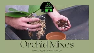 Orchid Mix- Encourage Roots to Climb and Expand!