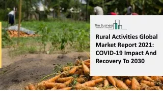 Global Rural Activities Market Highlights and Forecasts to 2031