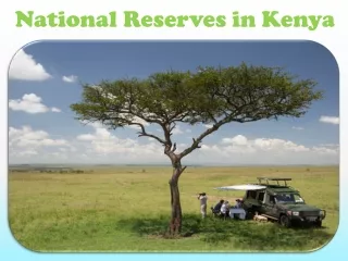 national reserves in kenya