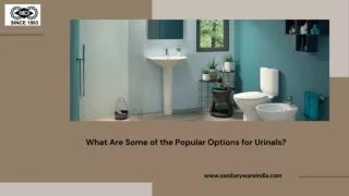 What Are Some of the Popular Options for Urinals