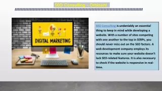 SEO Consulting - Orbizent