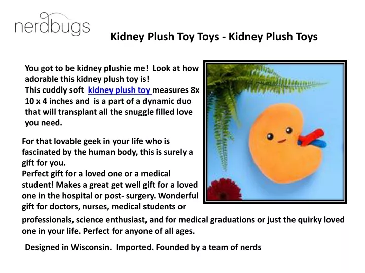 kidney plush toy toys kidney plush toys