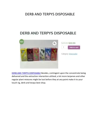 DERB AND TERPYS DISPOSABLE