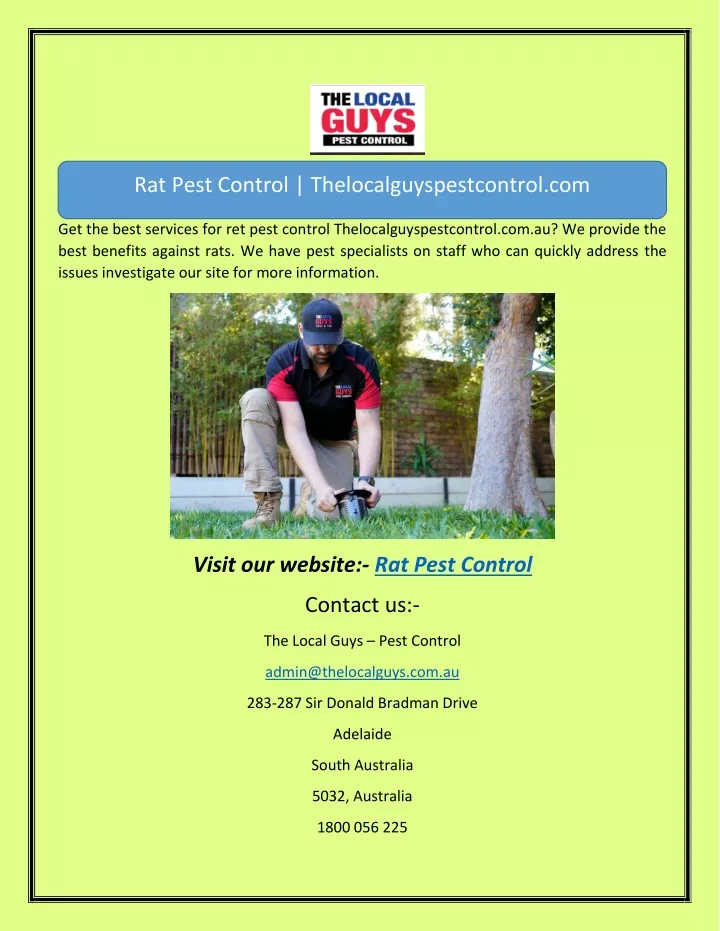 rat pest control thelocalguyspestcontrol com