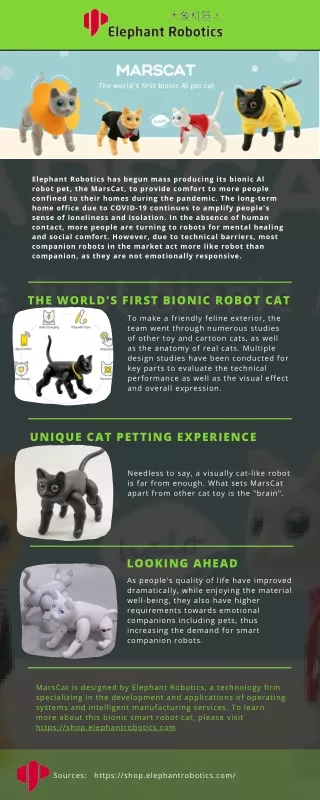 The world's first bionic robot cat