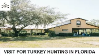 Explore For The Best Turkey Hunting In Florida
