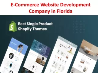 e commerce website development company in florida