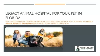 Legacy Animal Hospital In Florida | Four Legacy Veterinary