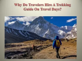 Why Do Travelers Hire A Trekking Guide On Travel Days