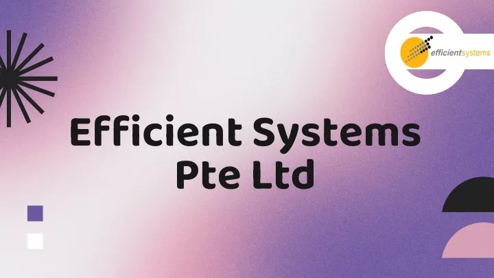 efficient systems p te ltd