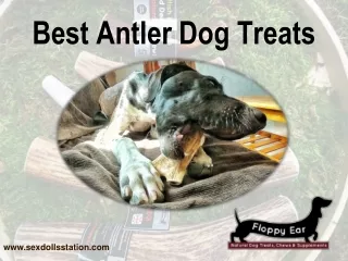 Best Antler Dog Treats