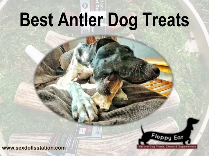 best antler dog treats