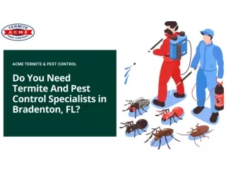 Do You Need Termite And Pest Control Specialists in Bradenton, FL