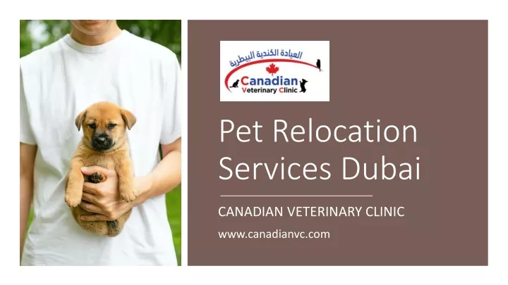 pet relocation services dubai