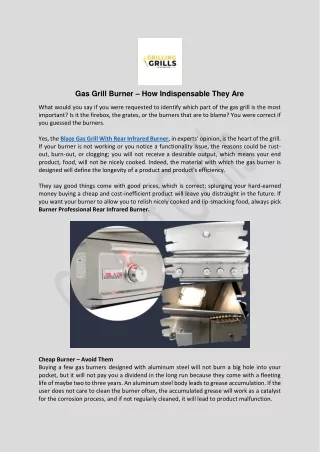 Burner Professional Rear Infrared Burner- Grilling Grills