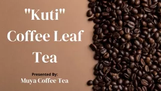 Buy The Best Kuti Coffee Leaf Tea