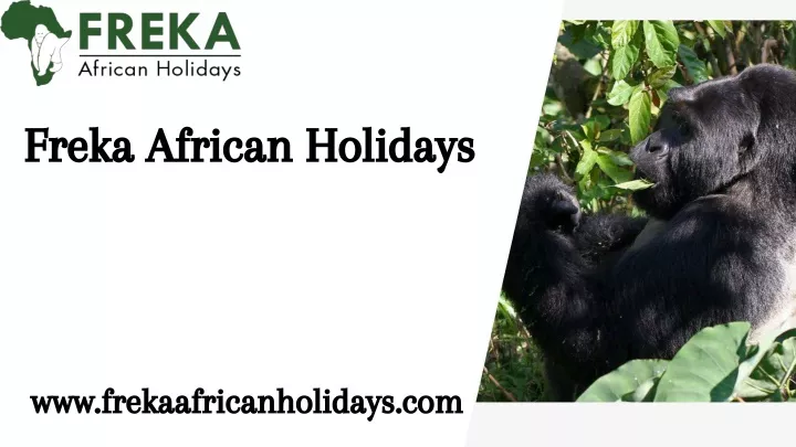 freka african holidays