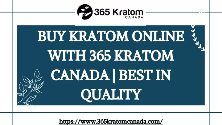 buy kratom online with 365 kratom canada best