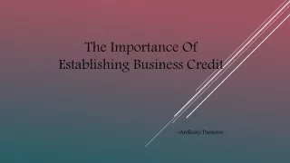 the importance of establishing business credit