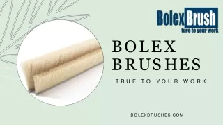 bolex b r u s h e s