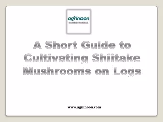 a short guide to cultivating shiitake mushrooms
