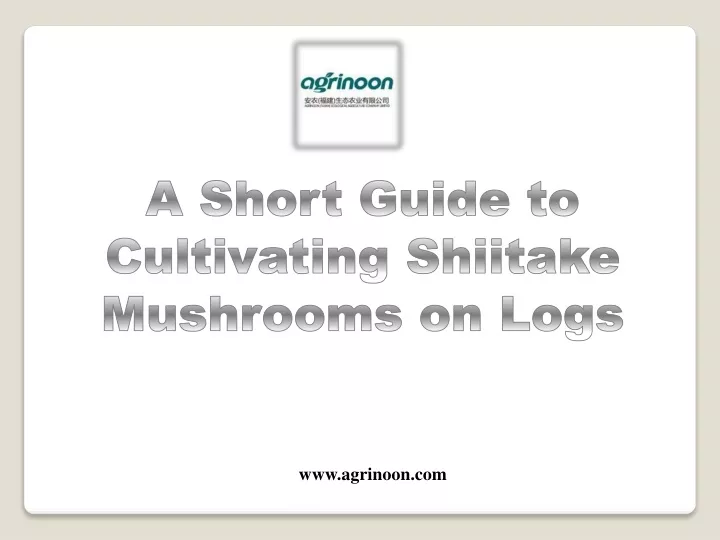 a short guide to cultivating shiitake mushrooms